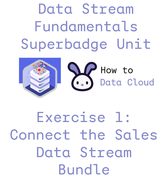 How to complete exercise 1: Connect the Sales Data Stream Bundle of the Data Stream Fundamentals Superbadge&nbsp;Unit